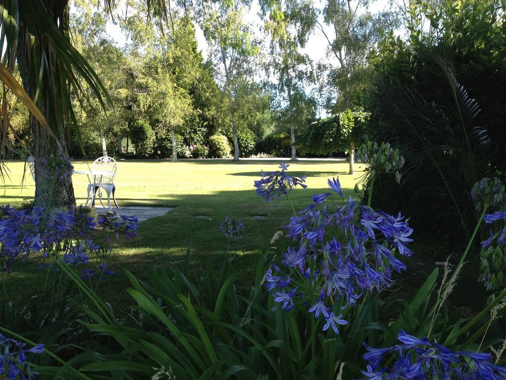 Bed and Breakfast Blairgowrie House Cambridge Esterno foto