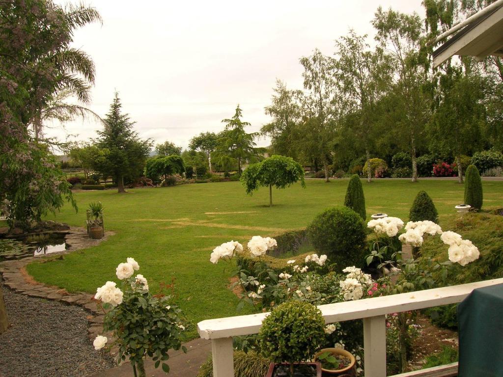 Bed and Breakfast Blairgowrie House Cambridge Esterno foto