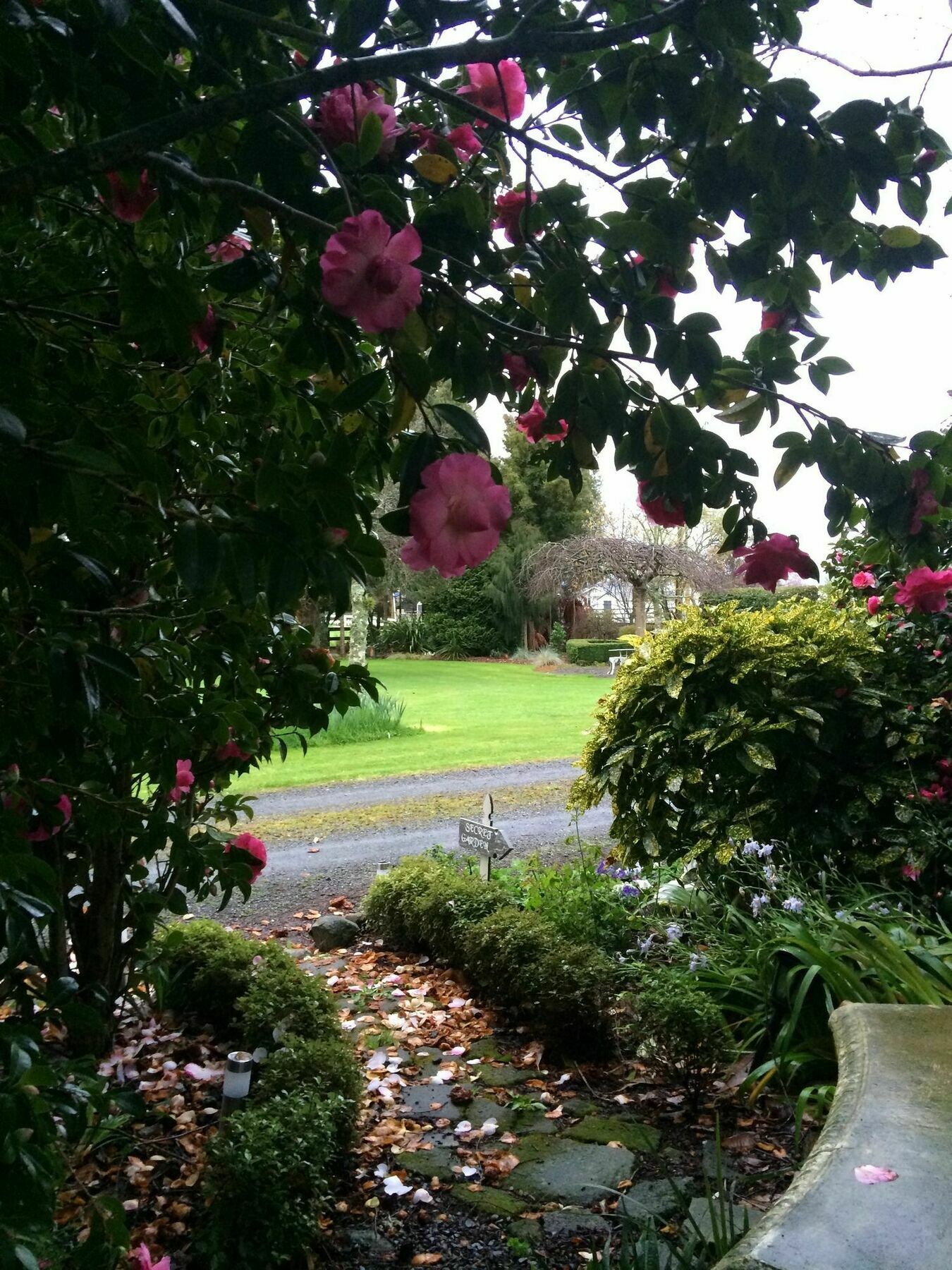 Bed and Breakfast Blairgowrie House Cambridge Esterno foto
