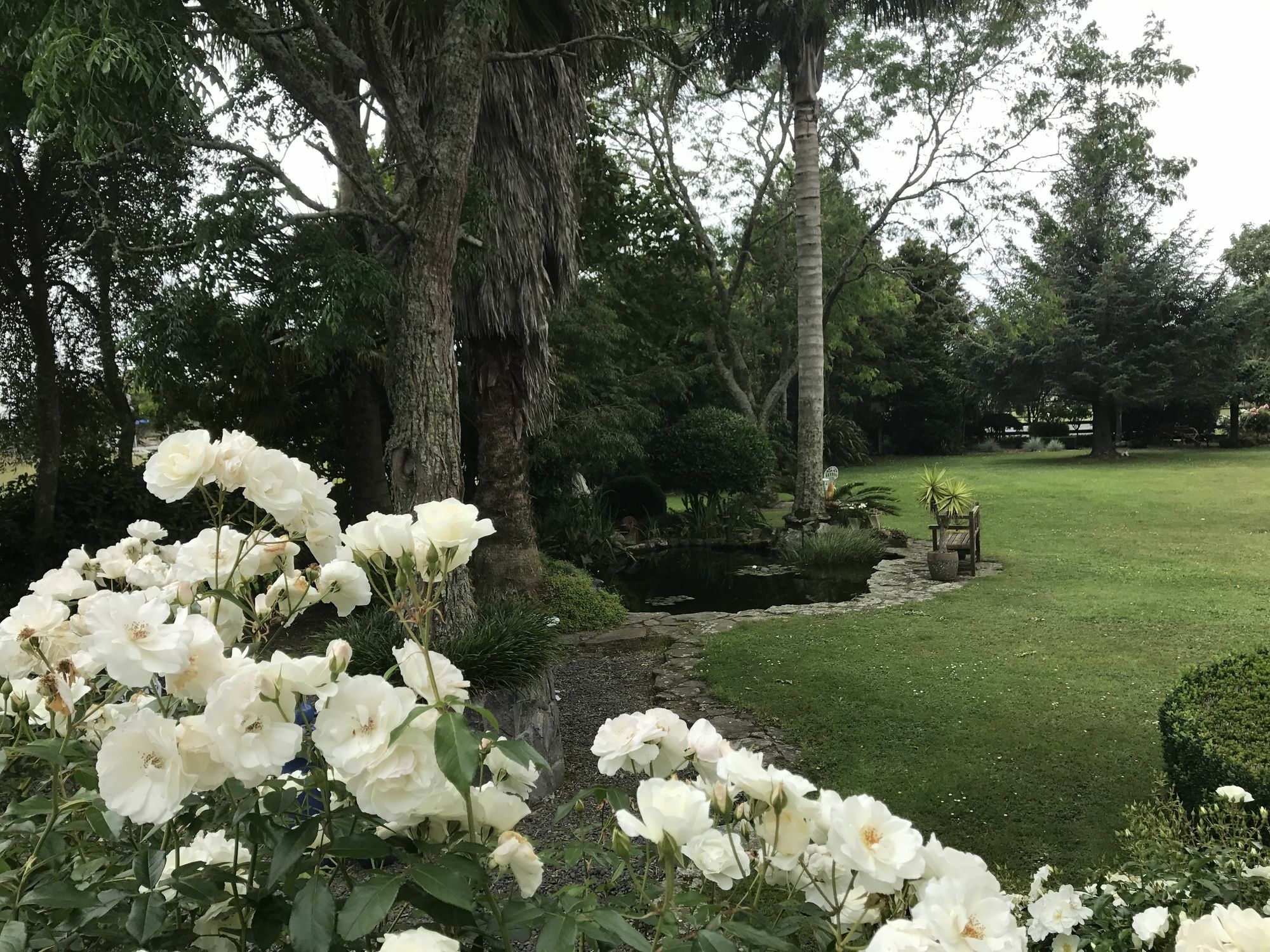 Bed and Breakfast Blairgowrie House Cambridge Esterno foto