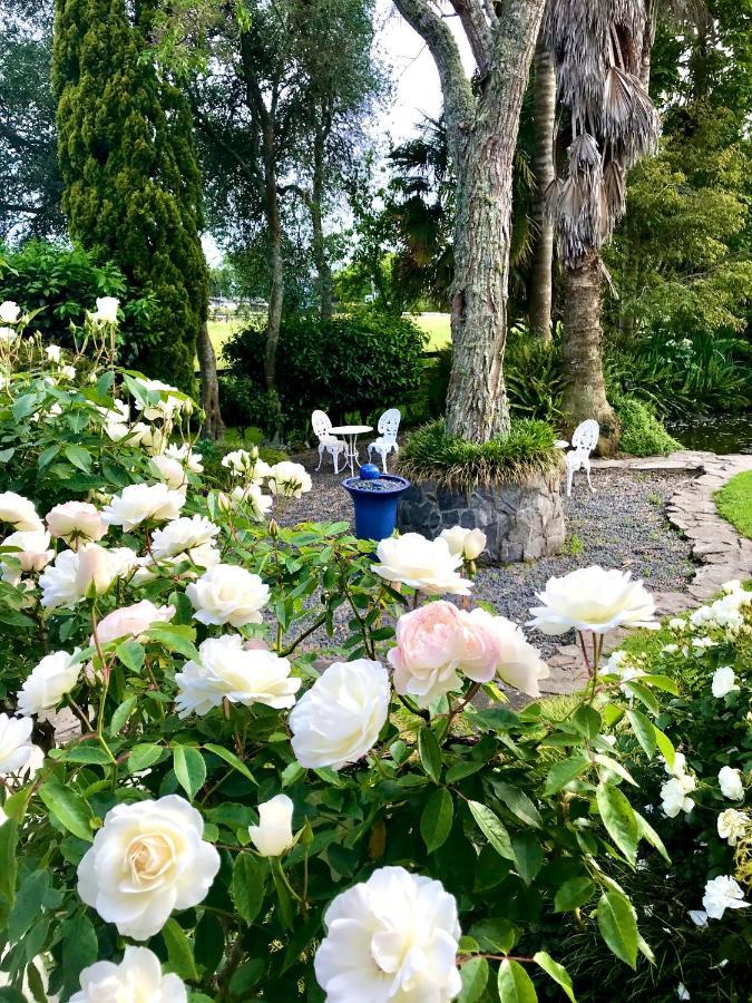 Bed and Breakfast Blairgowrie House Cambridge Esterno foto